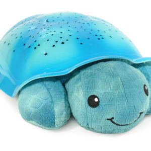 twillight turtle aqua