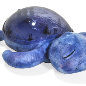 tartaruga tranquilla, oceano